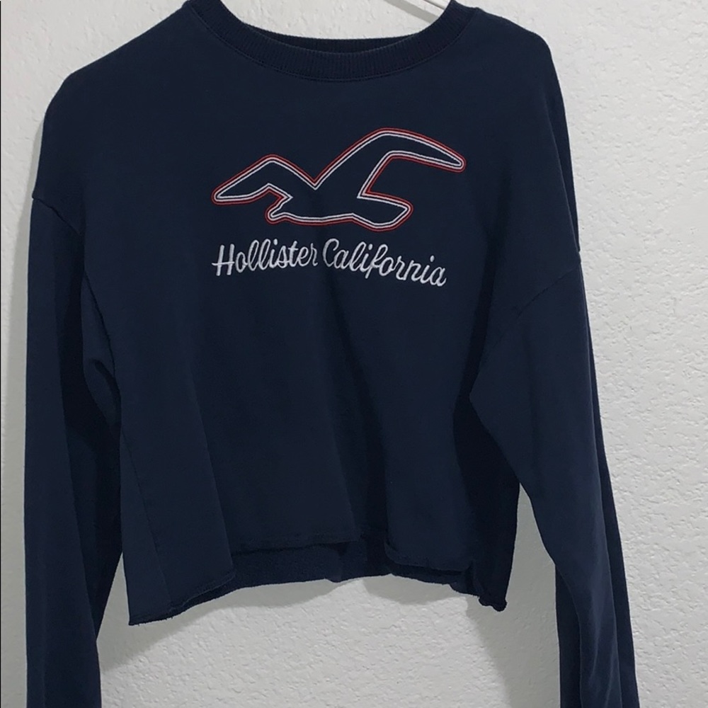 Hollister sweatshirt